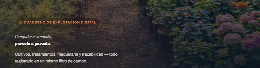 Pantalla de acceso de Gestraza